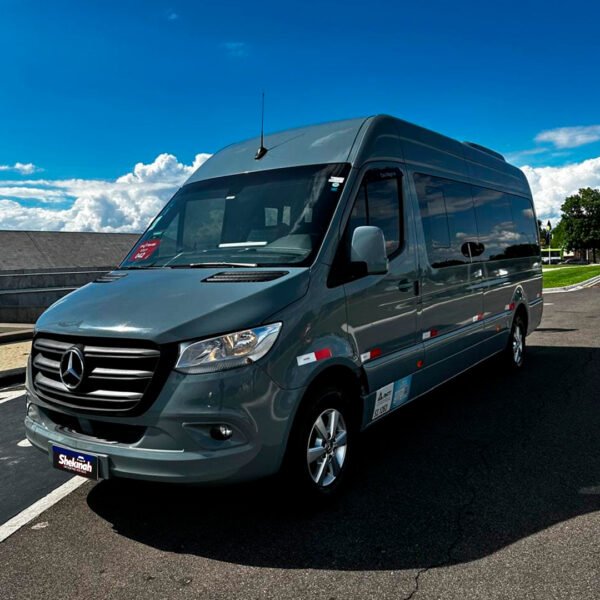 M. Benz Sprinter 18 Lug.